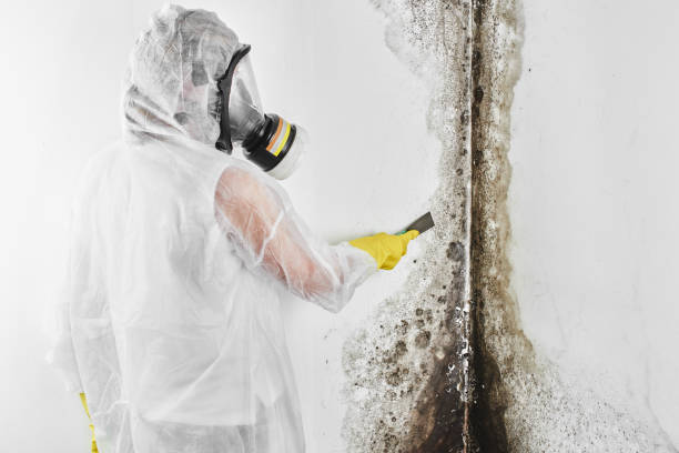 Best Mold Testing  in Pendleton, IN