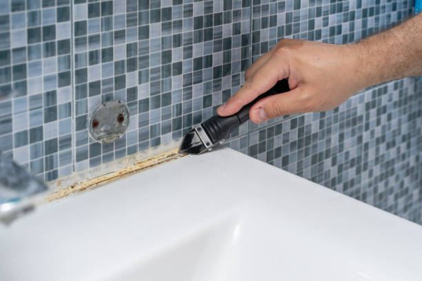 Best Professional Mold Removal  in Pendleton, IN