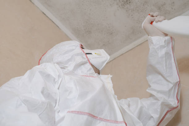 Best Crawl Space Mold Removal  in Pendleton, IN