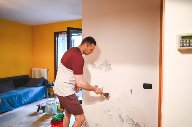 Best Mold Cleaning Services  in Pendleton, IN